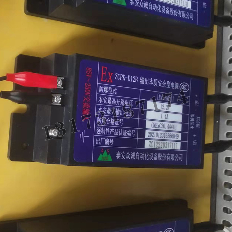 泰安眾誠(chéng)ZCPK-D12B輸出本質(zhì)**型電源-1.jpg